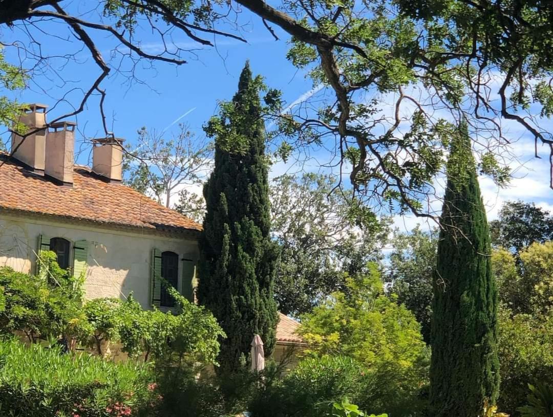 Le Mas Neuf 1752 Arles Eksteriør bilde
